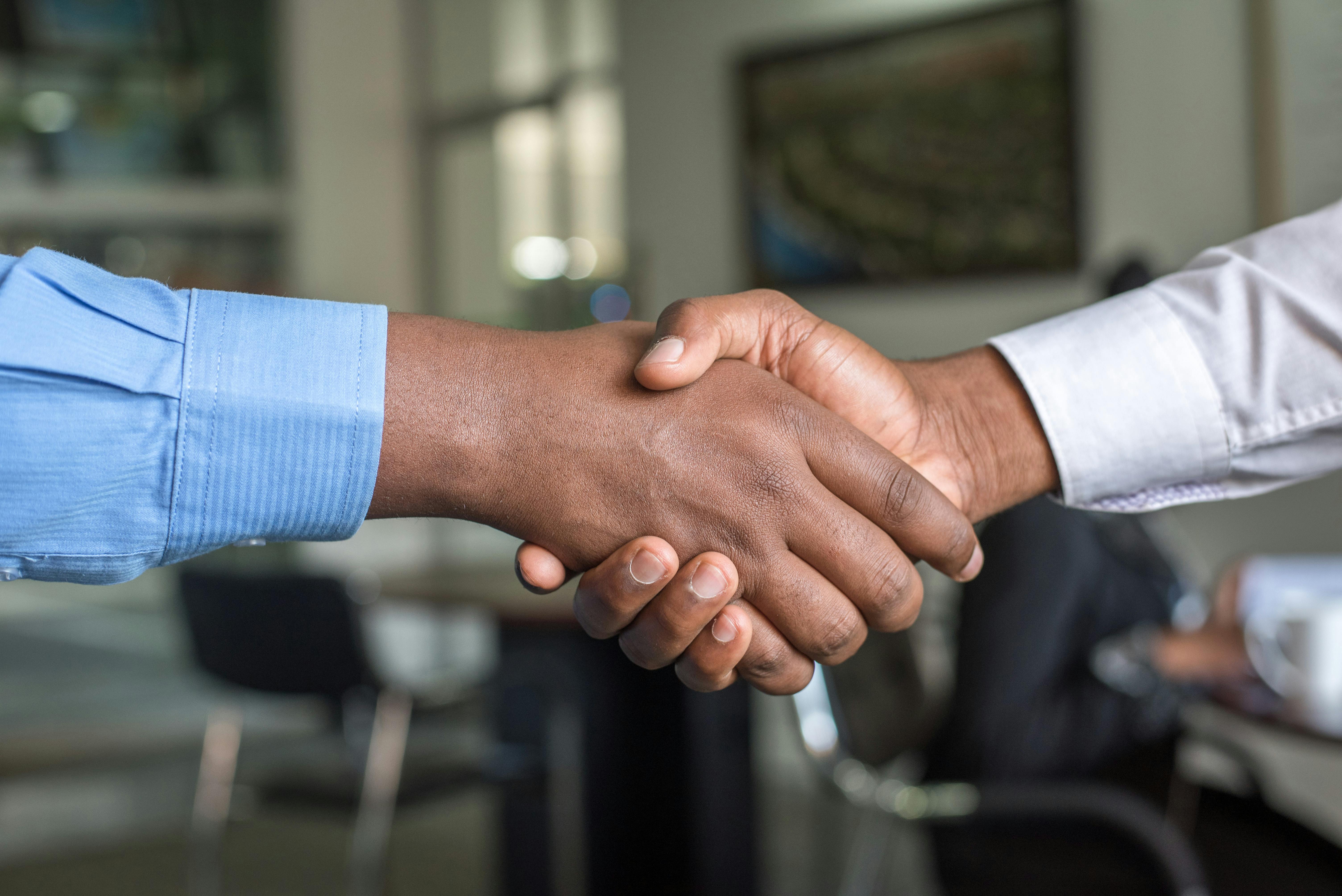 Trust and structure in website design